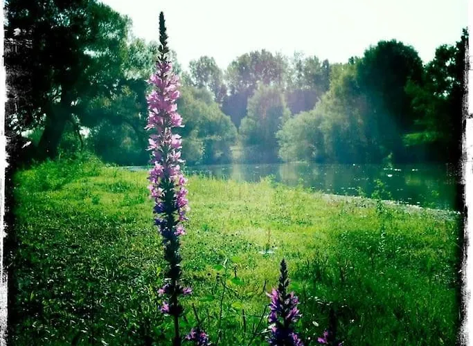 Holiday home De La Gare Semuy